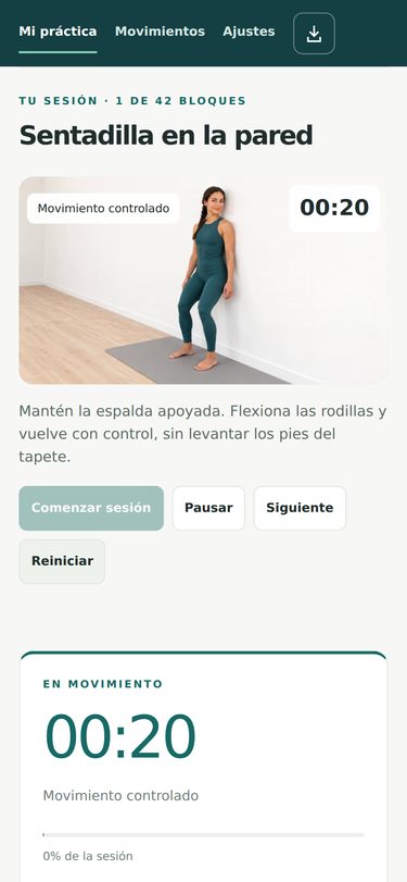Pantalla real de la aplicación: sesión en curso